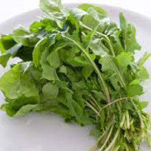 ARUGULA, Rocket - 99¢ Cent Heirloom Seeds: Herb	