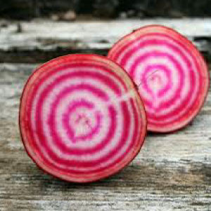 BEETS, Chioggia - 99¢ Cent Heirloom Seeds: Heirloom,Bulk	