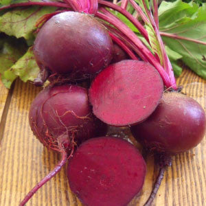 BEETS, Detroit Dark Red - 99¢ Cent Heirloom Seeds: Heirloom,Bulk	