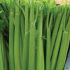 CELERY, Tall Utah