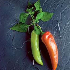 HOT PEPPER, Anaheim Chili - 99¢ Cent Heirloom Seeds: Heirloom,Bulk	