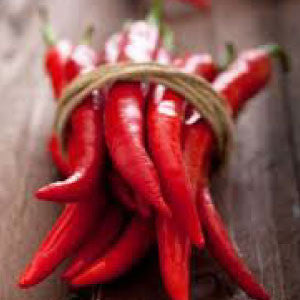 HOT PEPPER, Cayenne (Long Red) - 99¢ Cent Heirloom Seeds: Heirloom,Bulk	