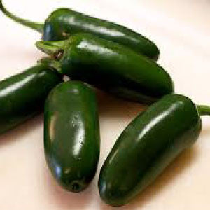 HOT PEPPER, Jalapeno - 99¢ Cent Heirloom Seeds: Heirloom,Bulk	