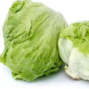 LETTUCE, Iceberg - 99¢ Cent Heirloom Seeds: Heirloom,Bulk	