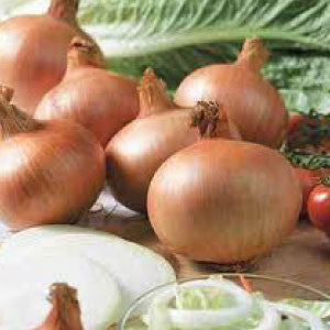 ONION, Yellow Sweet Spanish - 99¢ Cent Heirloom Seeds: Heirloom,Bulk	