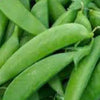 PEAS, Sugar Anne Snap