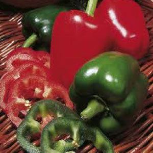 PEPPER, California Wonder - 99¢ Cent Heirloom Seeds: Heirloom,Bulk	