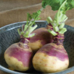 RUTABAGA, American Purple Top - 99¢ Cent Heirloom Seeds: Heirloom,Bulk	