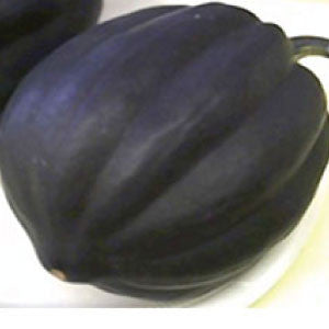 SQUASH (Acorn), Table Queen - 99¢ Cent Heirloom Seeds: Heirloom,Bulk	