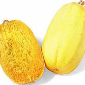 SQUASH, Spaghetti - 99¢ Cent Heirloom Seeds: Heirloom,Bulk	