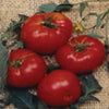 TOMATO, Brandywine Red