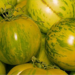 TOMATO, Green Zebra - 99¢ Cent Heirloom Seeds: Heirloom	