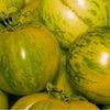 TOMATO, Green Zebra