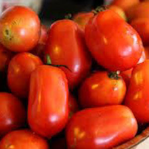 TOMATO, Roma - 99¢ Cent Heirloom Seeds: Heirloom	