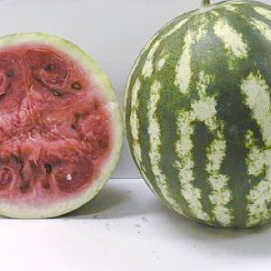 WATERMELON, Crimson Sweet - 99¢ Cent Heirloom Seeds: Heirloom,Bulk	