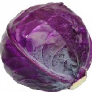 "CABBAGE, Red Acre" - Bulk Heirloom Seeds Wholesale