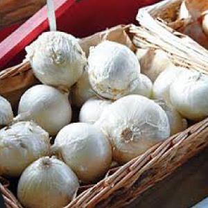 "ONION, White Sweet Spanish" - Bulk Heirloom Seeds Wholesale