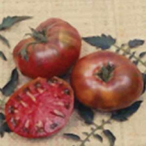 "TOMATO, Cherokee Purple" - Bulk Heirloom Seeds Wholesale